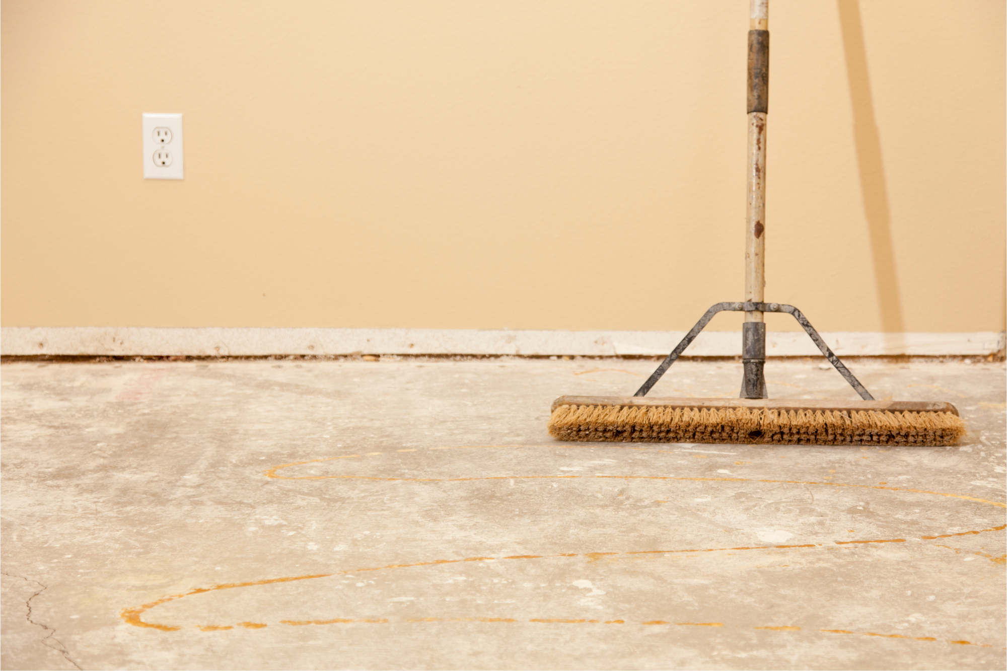 How To Clean Cat Urine From Concrete Floors Reviews And Buyer's Guide