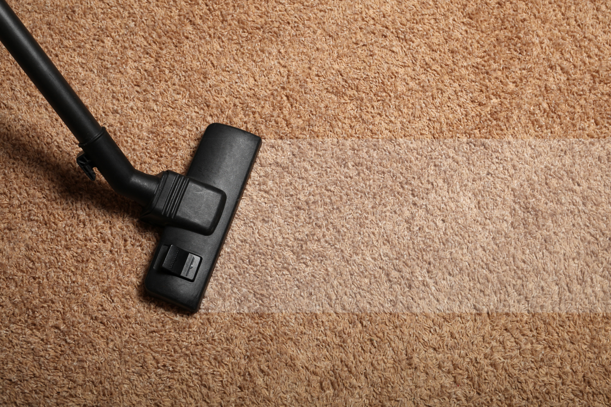 How To Take Apart Shark Rotator Vacuum Handle Reviews And Buyer