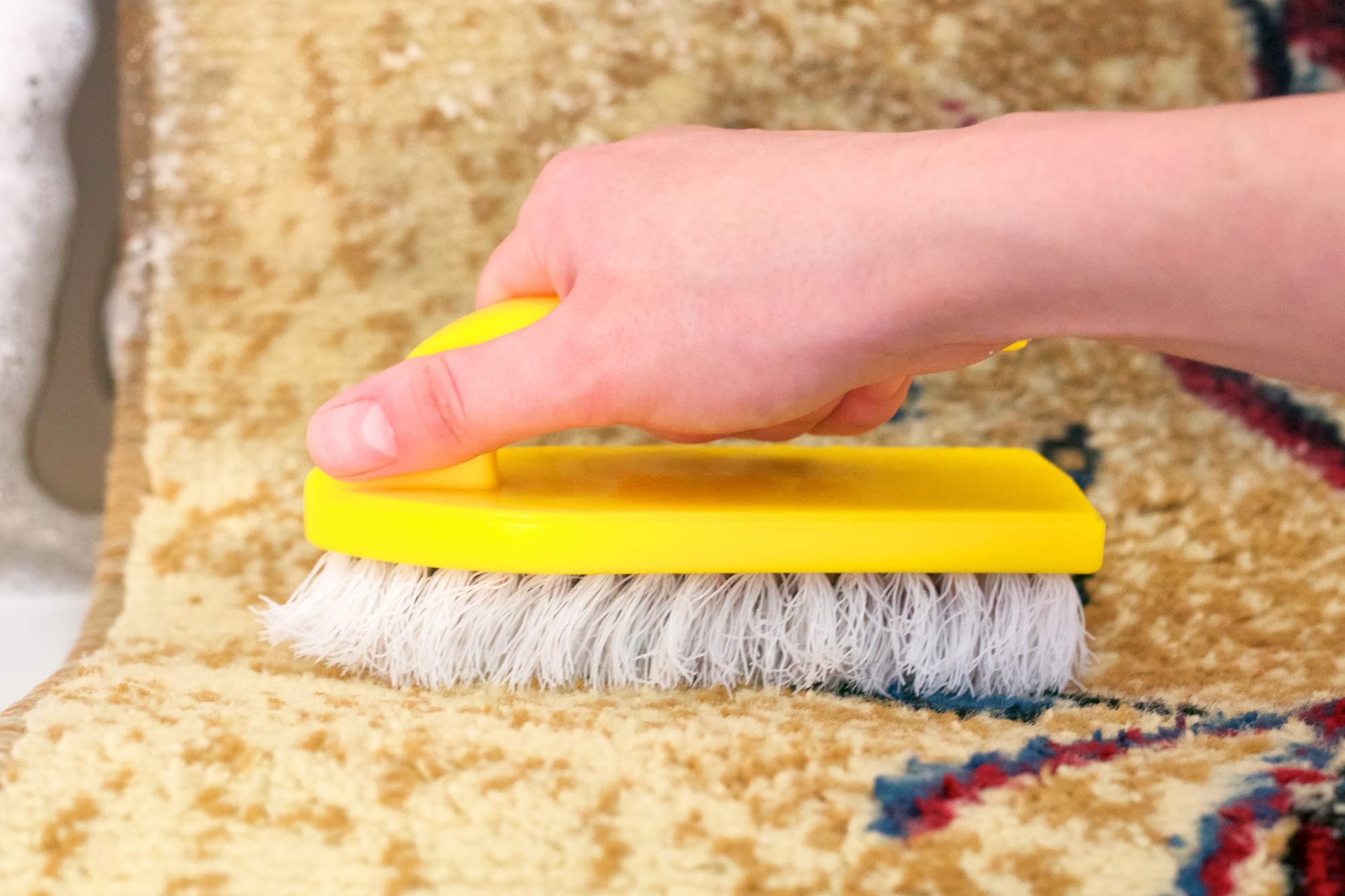 how-to-get-dog-poop-out-of-carpet-reviews-and-buyer-s-guide